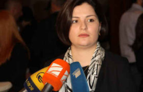 ანა ნაცვლიშვილი: ”პრეზიდენტის ვეტო ორ არგუმენტს ეფუძნება”