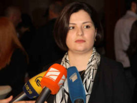 ანა ნაცვლიშვილი: ”პრეზიდენტის ვეტო ორ არგუმენტს ეფუძნება”