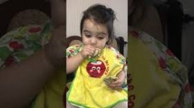 ნიაკო ნოზაძე - ჭამის პატარა მინისტრი - ვიდეო