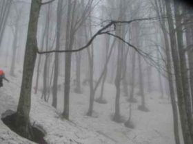 სოფო: "გიორგიმ მომიტაცა, მაგრამ გამოვექეცი, ირგვლივ მხოლოდ გაუვალი თოვლიანი ტყე იყო..."