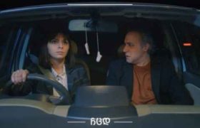 ანი ტყებუჩავა: "არავინ ელოდა ნინასგან, წიხლით თუ შეუვარდებოდა მოძალადეს სახლში"