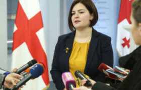 ანა ნაცვლიშვილი: „ამ კანონის მიღება იქნება იმ უზარმაზარი კონსენსუსის წინააღმდეგ წასვლა, რომელიც არსებობს მედიაში“