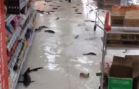 "კარფურში წარღვნაა" - ცოცხალი თევზები იატაკზე ფართხალებდნენ - ვიდეო