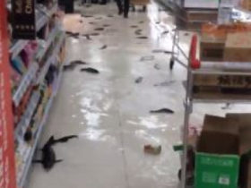 "კარფურში წარღვნაა" - ცოცხალი თევზები იატაკზე ფართხალებდნენ - ვიდეო