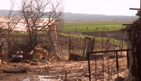 დედამ შვილი გააჩინა და საკუთარი სახლის ეზოში დამარხა - რა მოხდა საგარეჯოში