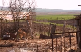 დედამ შვილი გააჩინა და საკუთარი სახლის ეზოში დამარხა - რა მოხდა საგარეჯოში დედამ შვილი გააჩინა და საკუთარი სახლის ეზოში დამარხა - რა მოხდა საგარეჯოში