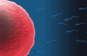 ,,უკიდურესად გულისამაჩუყებელ ისტორიას გიამბობთ, მთავარი გმირები ჩემი პაციენტი და მისი მეუღლე არიან” - წერს კონსტანტინე კობალაძე