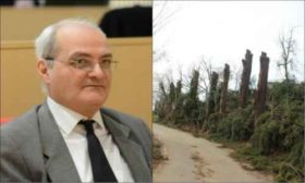 გია გაჩეჩილაძე ივანიშვილის დენდროლოგიურ პარკზე: ,,ეს დიდი საქმეა და მსხვერპლს მოითხოვს"