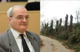 გია გაჩეჩილაძე ივანიშვილის დენდროლოგიურ პარკზე: ,,ეს დიდი საქმეა და მსხვერპლს მოითხოვს"