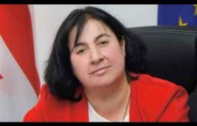 ენძელა მაჭავარიანი დეპუტატებისთვის ხელფასების გაზრდას ითხოვს - ვიდეო