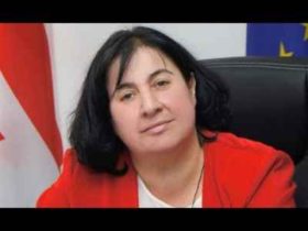 ენძელა მაჭავარიანი დეპუტატებისთვის ხელფასების გაზრდას ითხოვს - ვიდეო