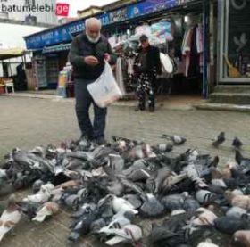 ჯუმბერ ქემხაძე ყოველდღე 450 მტრედს აპურებს