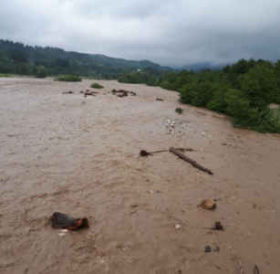 მარტვილში ტეხურა ადიდდა, მცხეთა-მთიანეთში - მტკვარი, დატბორილია მიმდებარე ტერიტორიები