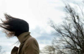 ,,8-10 მარტს სახლიდან ნუ გახვალთ, ძლიერი ქარი საქართველოში უმაღლეს ნიშნულს მიაღწევს" _ სინოპტიკოსების გაფრთხილება