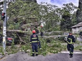 თბილისში ძლიერმა ქარმა 49 სახლი და 68 ხე დააზიანა, იმერეთში მიწა ჩამოიშალა _ სტიქია საქართველოში