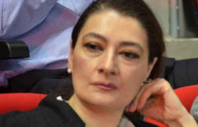 თაკო ჩარკვიანი: ,, მთავრობავ, შედი ბუტკაში" თაკო ჩარკვიანი: ,, მთავრობავ, შედი ბუტკაში"