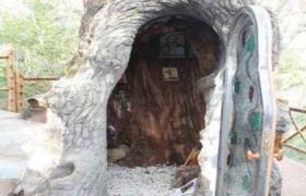 ქუთაისში, სამსაუკუნოვან მუხაში სამლოცველოა მოწყობილი