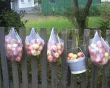 ესტონეთში ასე ტოვებენ ხილს კორპუსებში მცხოვრებლებისთვის