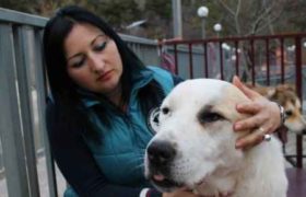 ლელა თოლორდავა: ,,ყოველი წვიმის დროს განწირული ცხოველების ხმები ჩამესმის" - 13 ივნისის ავბედითი ღამის მოგონება