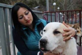 ლელა თოლორდავა: ,,ყოველი წვიმის დროს განწირული ცხოველების ხმები ჩამესმის" - 13 ივნისის ავბედითი ღამის მოგონება