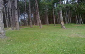 გაპარტახებული სურამი - უნიკალური კურორტი ისეთი ცარიელია, როგორც არასდროს