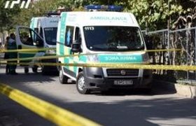 ნუკრი რევიშვილს 9 წლის გოგონა დაეღუპა - გოგონას დენმა დაარტყა