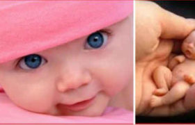 ჩვილი, რომელიც 340 გრამი დაიბადა - ,,ის ჩემს ხელისგულზე ეტეოდა"