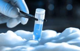 კიბოს მკურნალობის ახალი მეთოდისთვის ორ მეცნიერს ნობელის პრემია გადასცეს კიბოს მკურნალობის ახალი მეთოდისთვის ორ მეცნიერს ნობელის პრემია გადასცეს