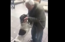 ,,ჟორა, ჟორჟიკ, შენ ხარ, ბიჭო?!" - პატრონმა 3 წლის წინ დაკარგული ძაღლი ქუჩაში იპოვა - ვიდეო