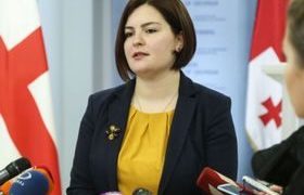 ანა ნაცვლიშვილი: ,,ნოდარ ვაშაძე შშმ პირია, თეიმურაზ გორჯესტანმა უნდა მოიხადოს ბოდიში!"