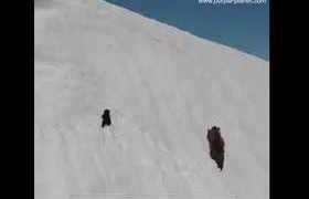 საოცარი ვიდეო, რომელიც მთელ მსოფლიოში ვრცელდება