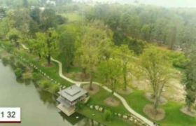 ბიძინა ივანიშვილის უნიკალური დენდროლოგიური პარკი - ვიდეო