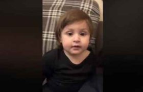 რუსკა მაყაშვილის შვილი ბახვა ბრეგვაძის სახელის თქმას ცდილობს - ვიდეო