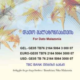 კომპოზიტორ დავით მალაზონიას, რომელსაც სამარშრუტო ტაქსი დაეჯახა, ფინანსური დახმარება სჭირდება