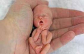 ,,ეს პაწია 12 კვირისაა და სწორედ მისნაირთა მკვლელობა დაუშვა პარლამენტმა" - ლია რუსიაშვილი