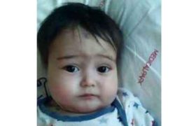 ,,ნიკოლოზი ჯანმრთელია! ყველას გილოცავთ!''