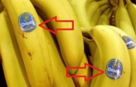 ფრთხილად იყავით! ბანანის ეტიკეტს ყოველთვის დახედეთ