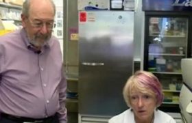 კიბოს განკურნება 100%-იანი შედეგით - სენსაციური ცდა სტენფორდის უნივერსიტეტში კიბოს განკურნება 100%-იანი შედეგით - სენსაციური ცდა სტენფორდის უნივერსიტეტში