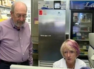 კიბოს განკურნება 100%-იანი შედეგით - სენსაციური ცდა სტენფორდის უნივერსიტეტში