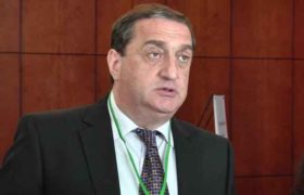 დავით საგანელიძე: ,,56 ღორი მოვძებნეთ, რაიონებში დავდიოდით და სურათებს ვუღებდით"