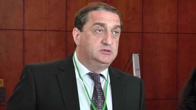 დავით საგანელიძე: ,,56 ღორი მოვძებნეთ, რაიონებში დავდიოდით და სურათებს ვუღებდით"