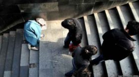 ,,ბაბუა გვემუქრებოდა, მოგკლავთ, ბავშვს თუ წაიყვანთო"