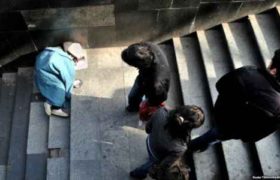 ,,ბაბუა გვემუქრებოდა, მოგკლავთ, ბავშვს თუ წაიყვანთო"