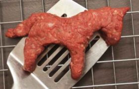 სამტრედიის ბაღებში ბავშვებს ცხენის ხორცს აჭმევდნენ