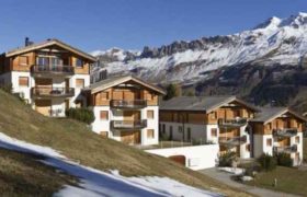 შვეიცარიაში, სახლში მძინარე ქართველი ქურდები ნახეს