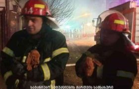 დიდ დიღომში ცეცხლმოკიდებული საწყობიდან მეხანძრეებმა ლეკვები გამოიყვანეს