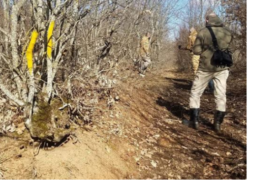 ,,ხაშურის ტყეები მიაქვთ ოკუპანტებს, უზარმაზარი ტერიტორია! იყვირეთ ჩვენთან ერთად!" - ლაშა ბერულავა ,,ხაშურის ტყეები მიაქვთ ოკუპანტებს, უზარმაზარი ტერიტორია! იყვირეთ ჩვენთან ერთად!" - ლაშა ბერულავა