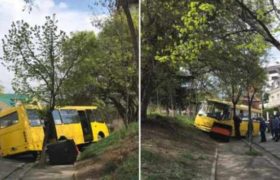 თბილისში მგზავრებით სავსე ავტობუსი ხეს შეეჯახა