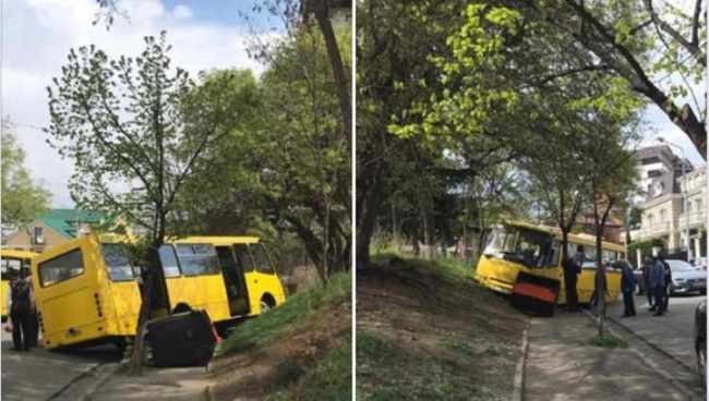 თბილისში მგზავრებით სავსე ავტობუსი ხეს შეეჯახა