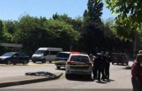 ,,მუხრუჭის გამოყენება ვერ მოასწრო და შეასკდა" - ფონიჭალაში ქალი დაიღუპა